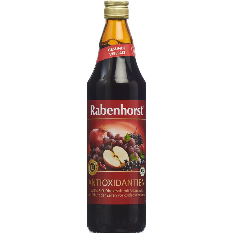RABENHORST Antioxidantien Saft Bio 7.5 dl