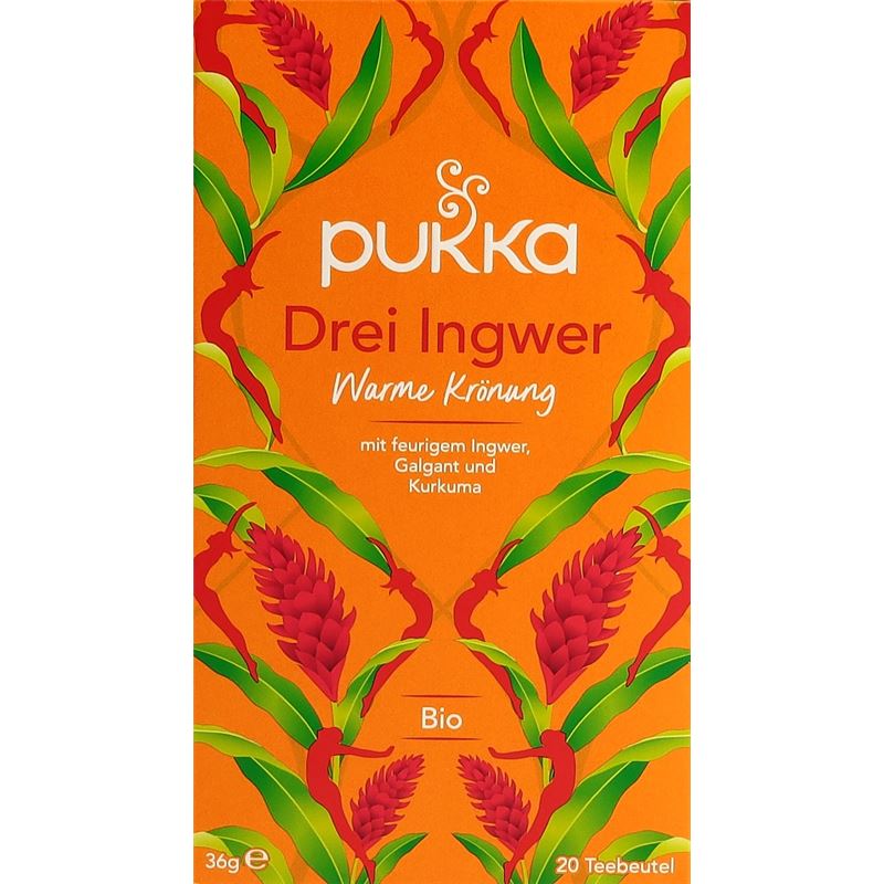 PUKKA Drei Ingwer Tee Bio Btl 20 Stk