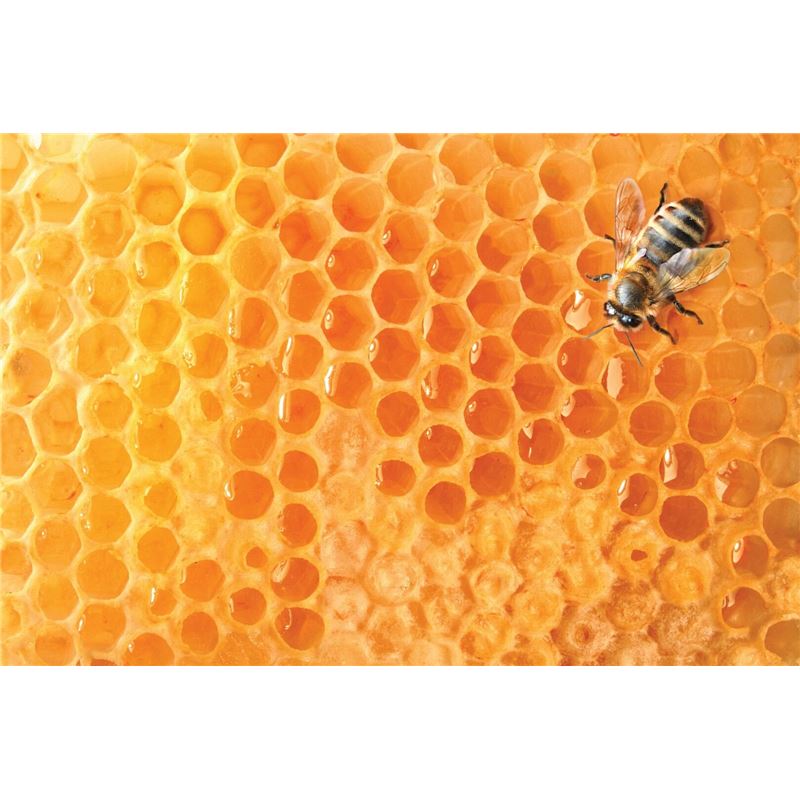 ARKOCAPS Gelée Royal Pollen Kaps VG 45 Stk