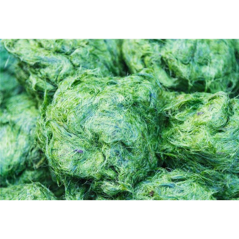 ARKOCAPS Spirulina Kaps 45 Stk