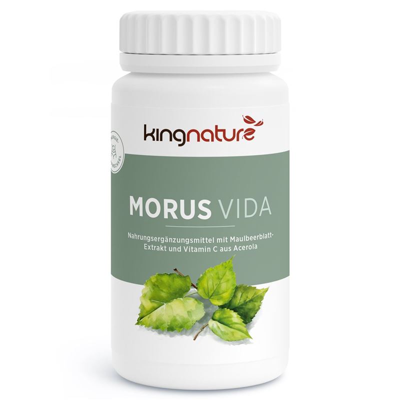 KINGNATURE MORUS Vida Kaps Ds 72 Stk