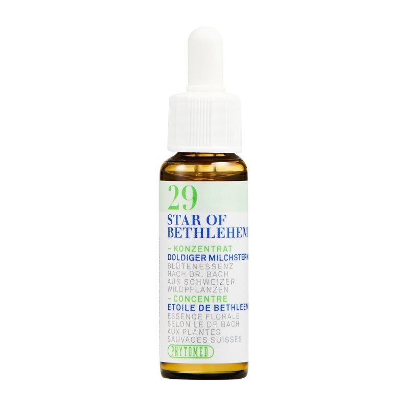 PHYTOMED Bachblüten No29 Dold Milchstern Fl 10 ml