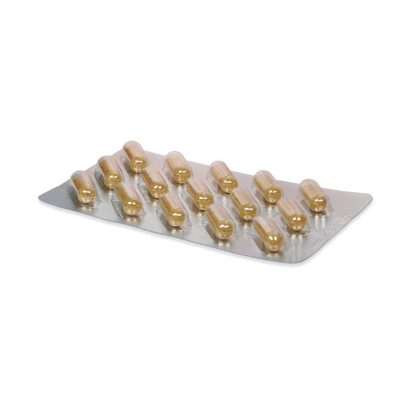 BADKAN TM plus Caps Blist 150 Stk