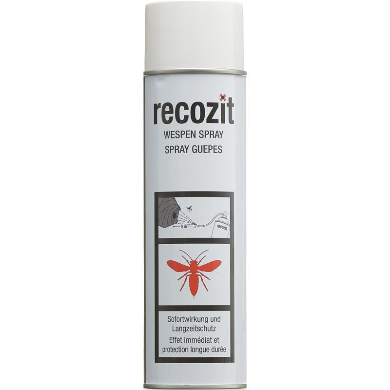 RECOZIT Wespen Spray 500 ml