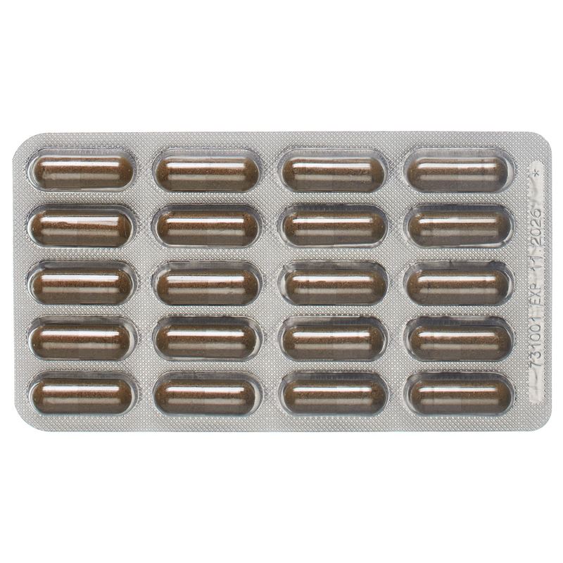 PADMA VENABEN Kaps Blist 60 Stk