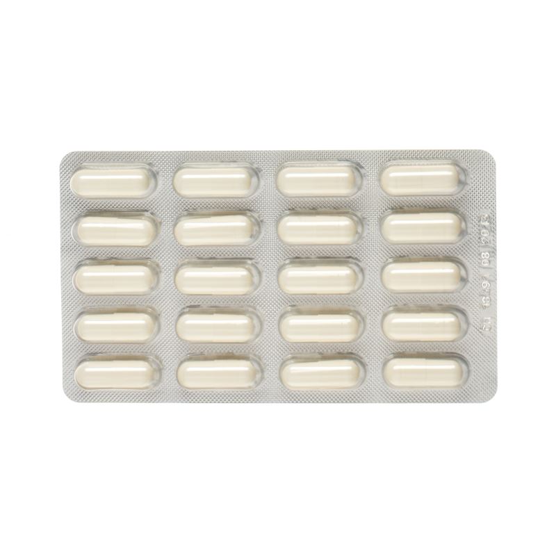 ALPINAMED Glucosamin Chondroitin Kaps 120 Stk