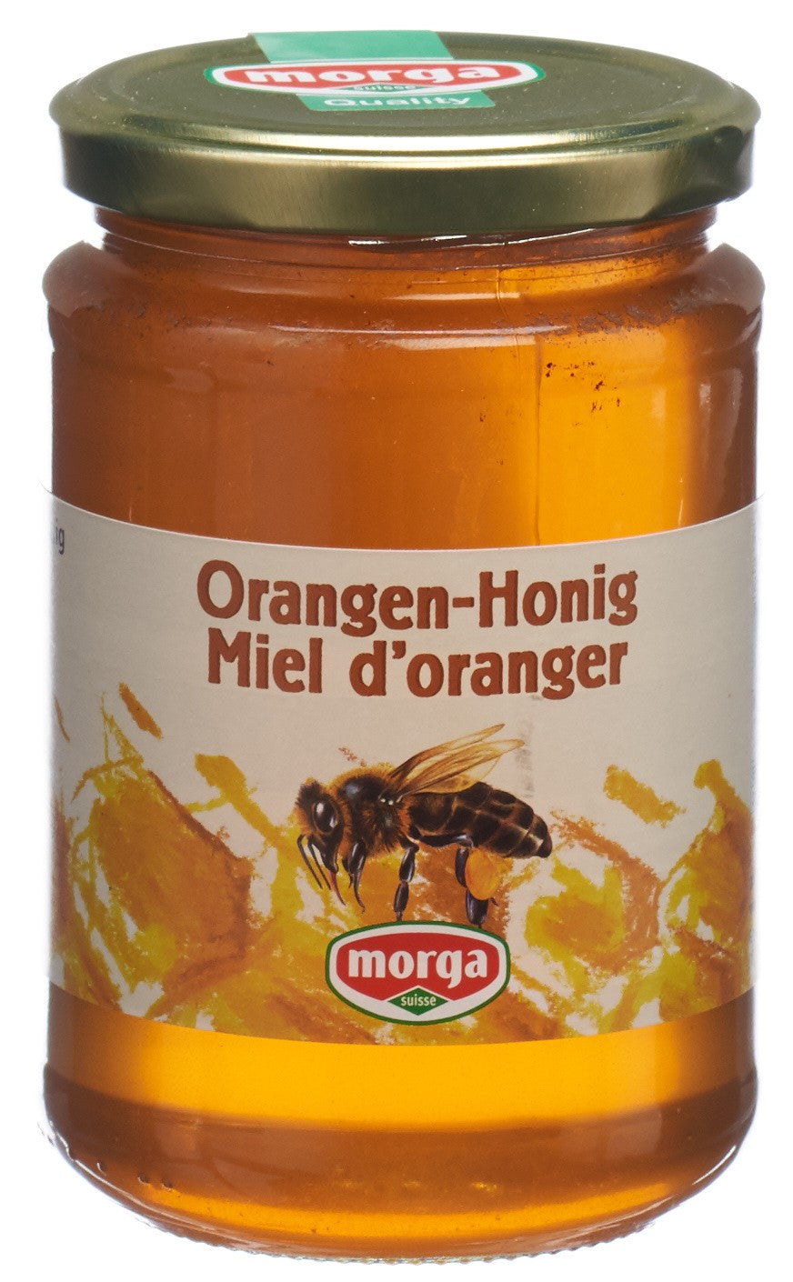 MORGA Orangen Honig Glas 500 g