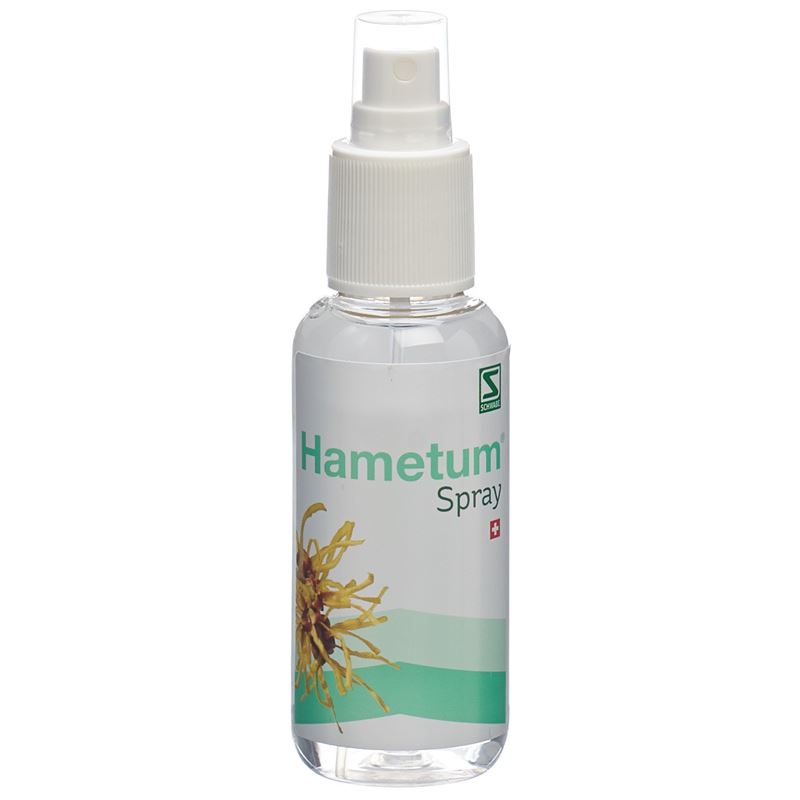 HAMETUM Spray Fl 100 ml